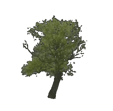 Loading animation of a swaying tree